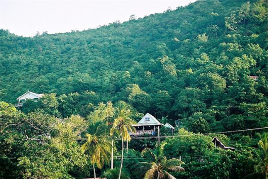 Jamaica's Farmland