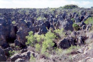 Facts About Living Conditions in Nauru