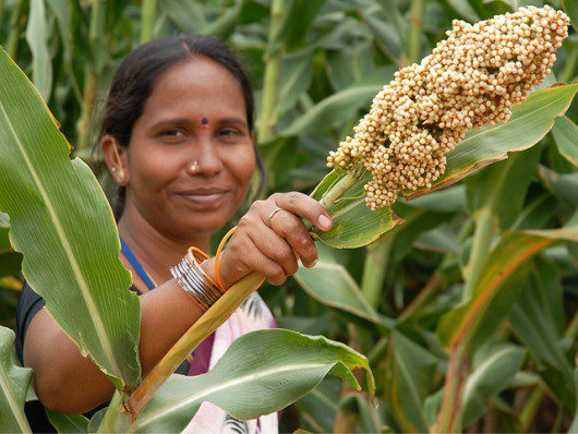 smallholder farmers