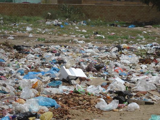 Kenya's Plastic Bag Ban