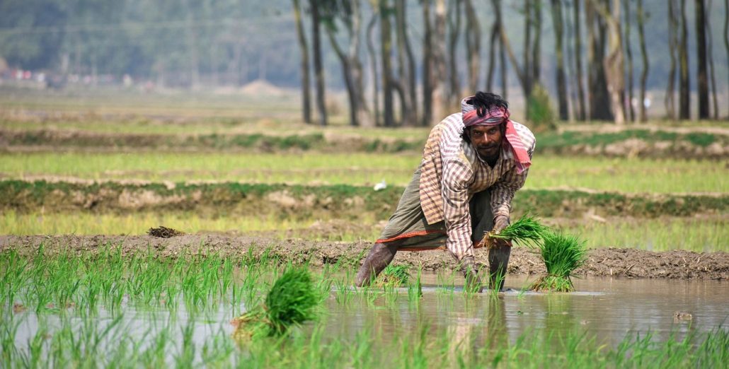 Kerala’s Revolutionary Approach