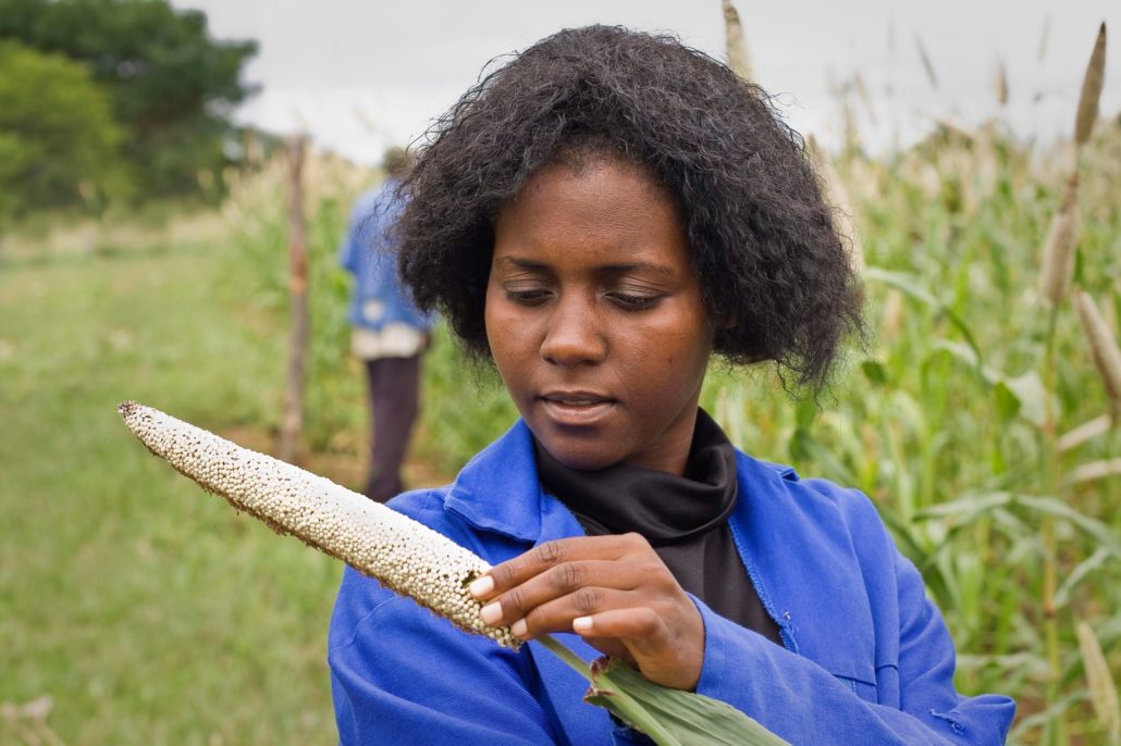 Land Grabbing and Poverty