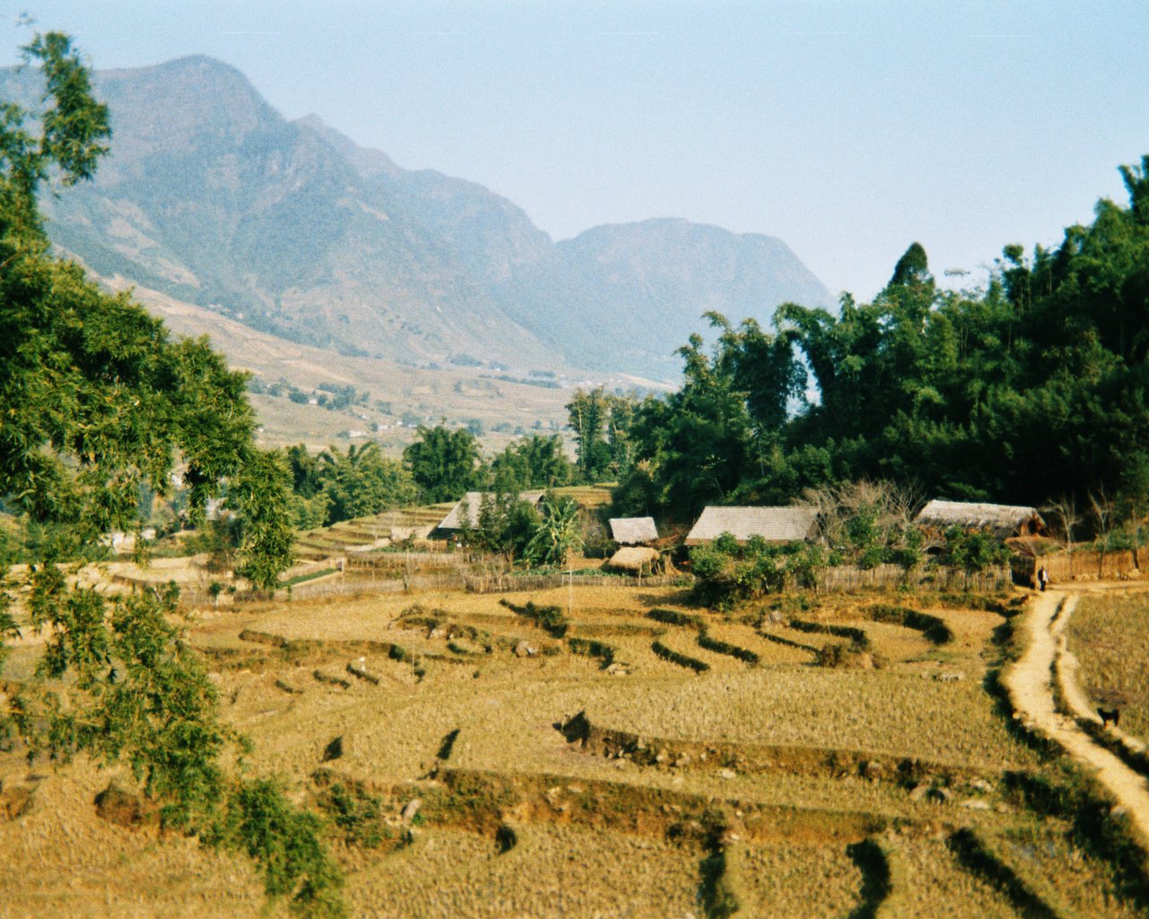 Laos' Growing Economy 