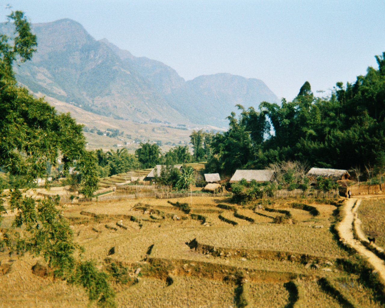 Laos' Growing Economy Laos' Growing Economy