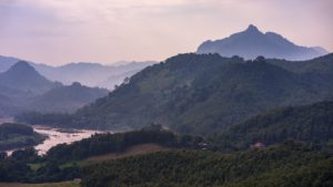 Laos' forests