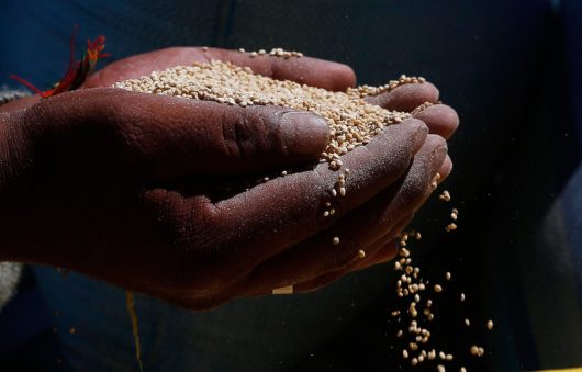 Latin American Farmers