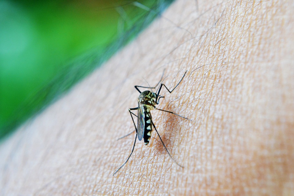Leading Diseases in Sri Lanka