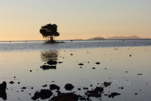 Life Expectancy in Kiribati