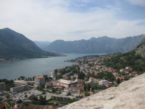 Life Expectancy in Montenegro