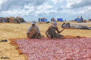 Life Expectancy in Sri Lanka