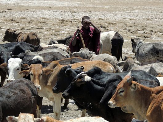 Communal land rights