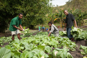 Living Conditions in Papua New Guinea