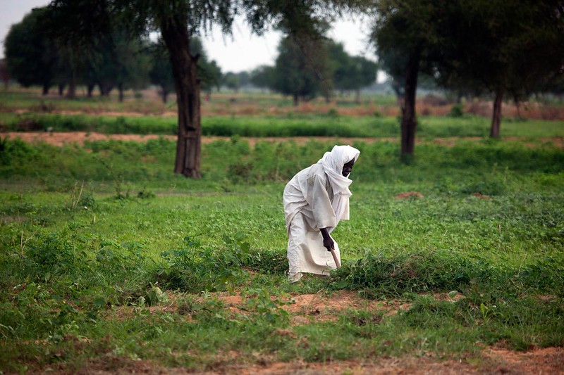 Cost of Living Crisis in Sudan