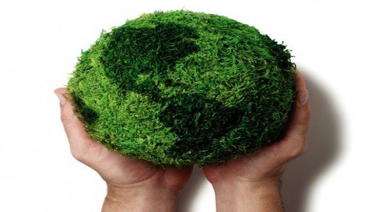 Why We Should Value Biodiversity-TBP