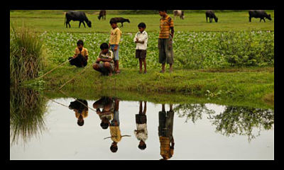 Global Development Indicators