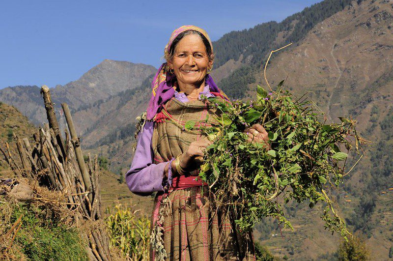 MFIs in India