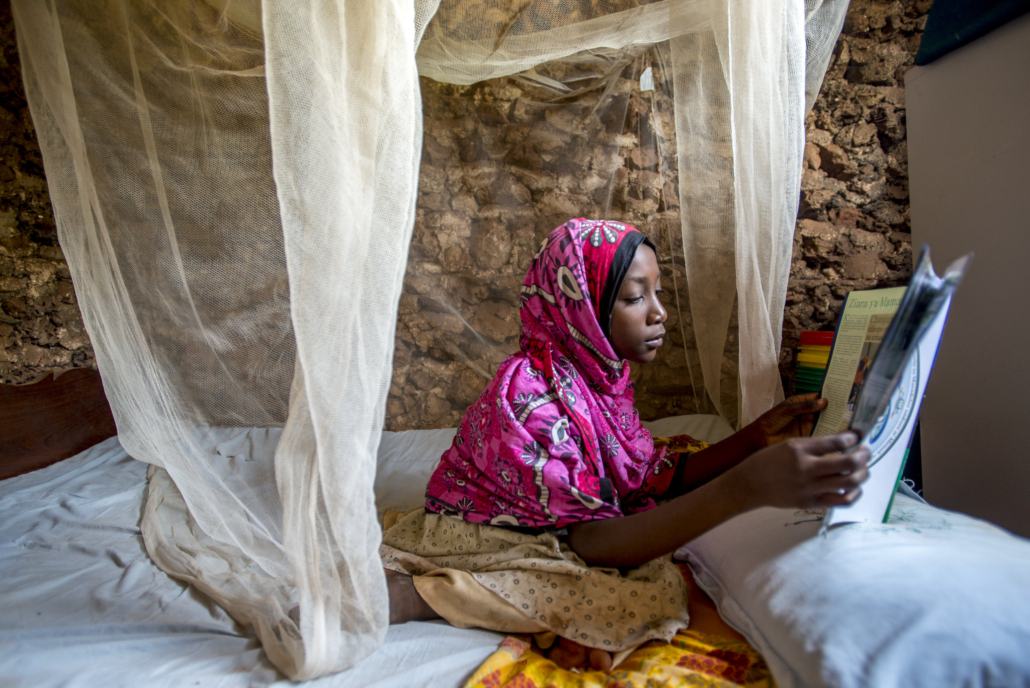 Malaria in Tanzania