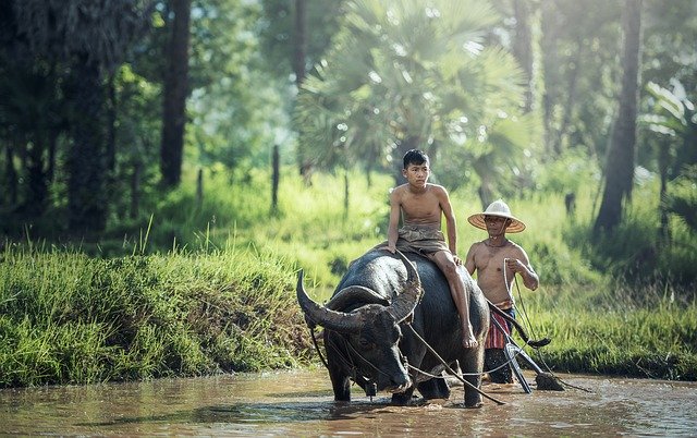 Malaria in Thailand