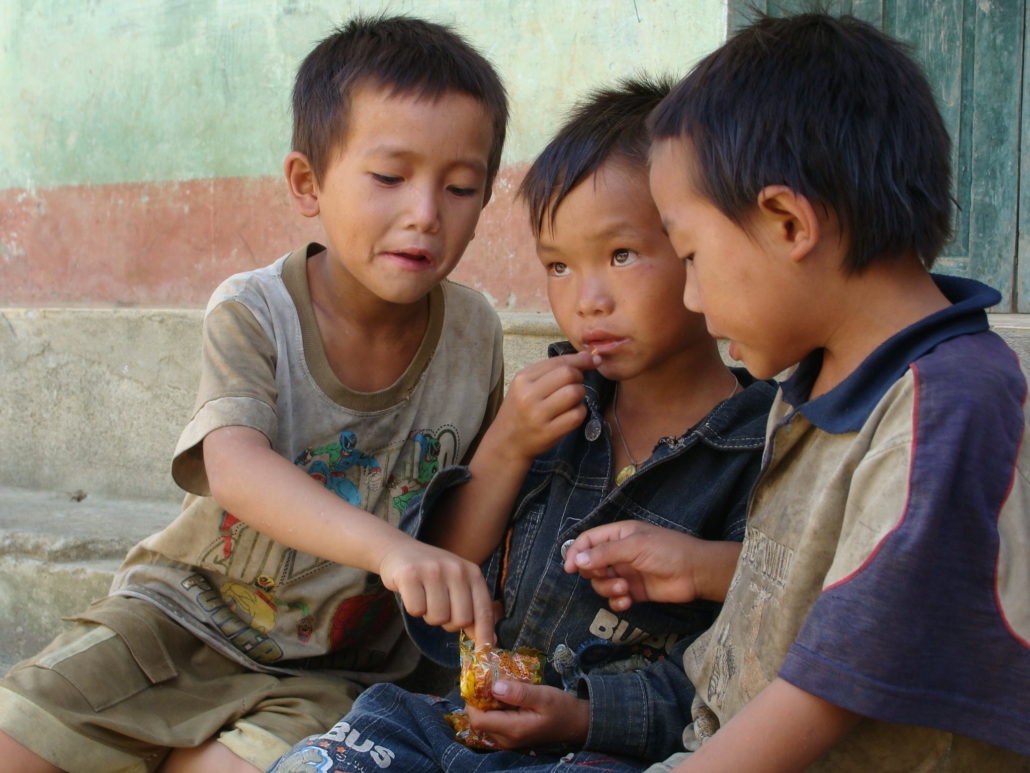Malaria in Vietnam