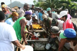 Mental Health in Dominica