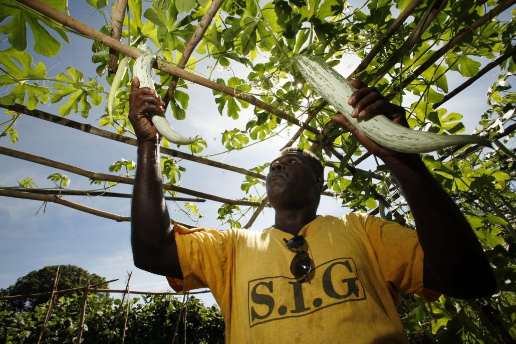 Mental Health in the Solomon Islands