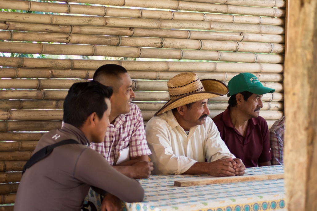 Mexican Farmers