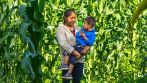 Mexico’s Plant-Food Industry