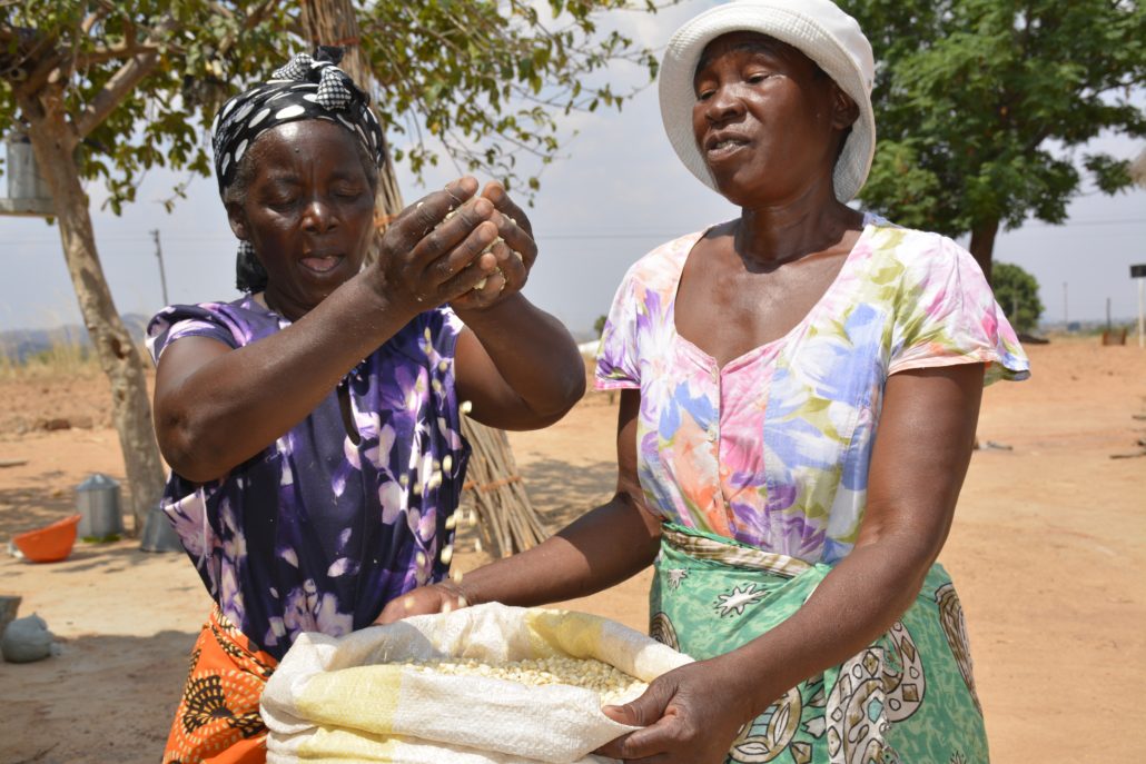 Microfinance in Zimbabwe