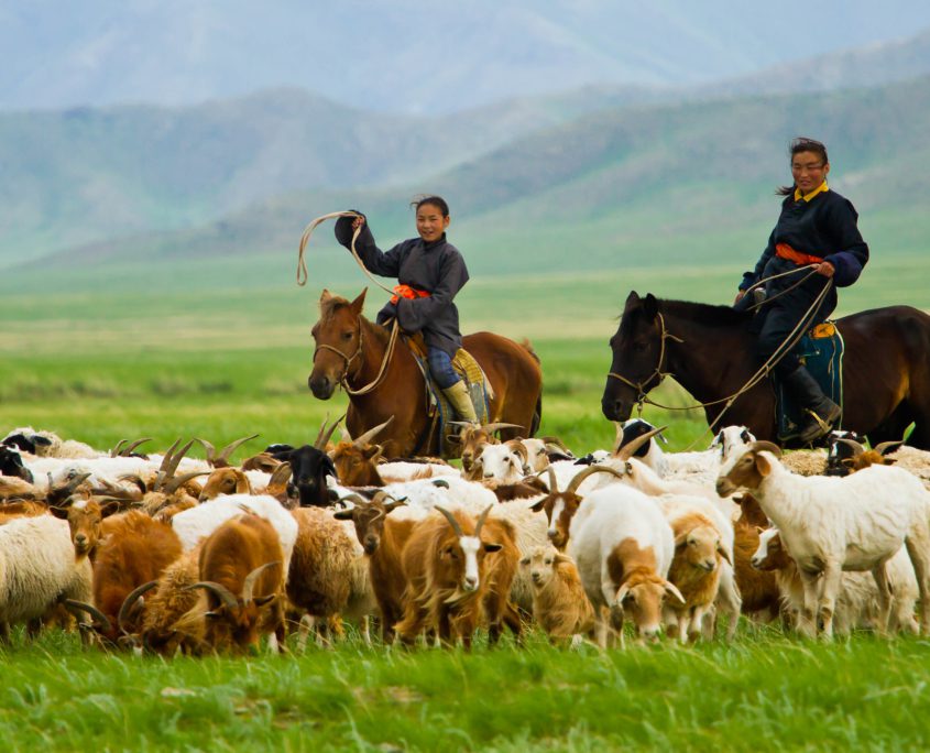 Migrant Herders and Poverty
