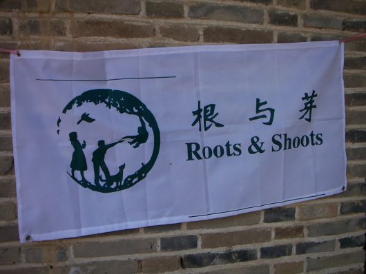 Million Tree Project