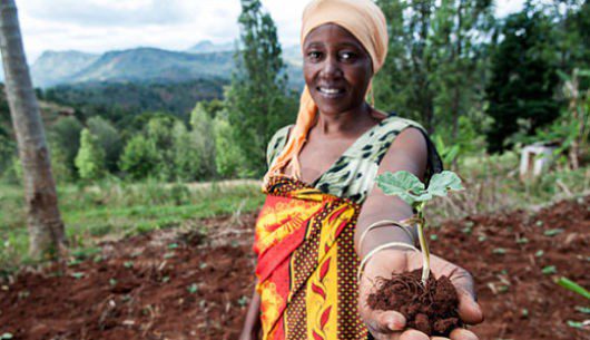 land_ownership