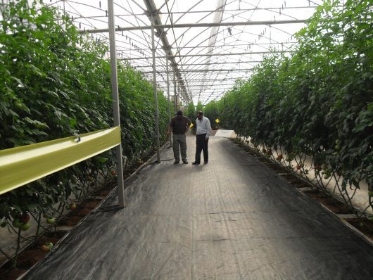 Montreal Protocol Amendment Implemented in 2016