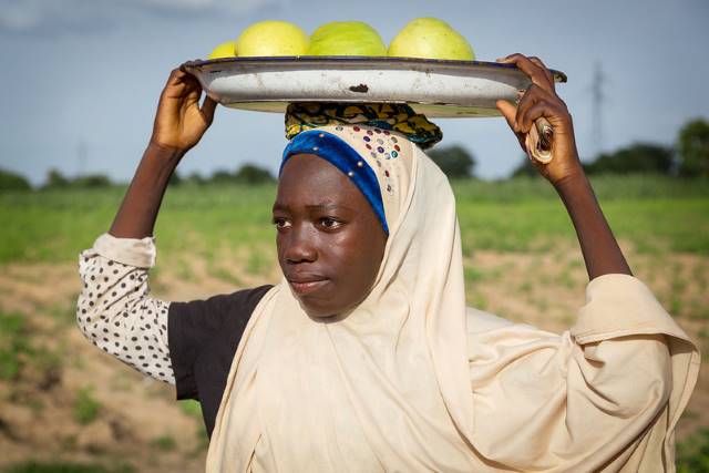 Morocco-Nigeria Partnership