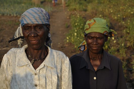 Mozambican Adaptation Project