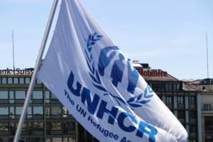 NGO Innovation Award