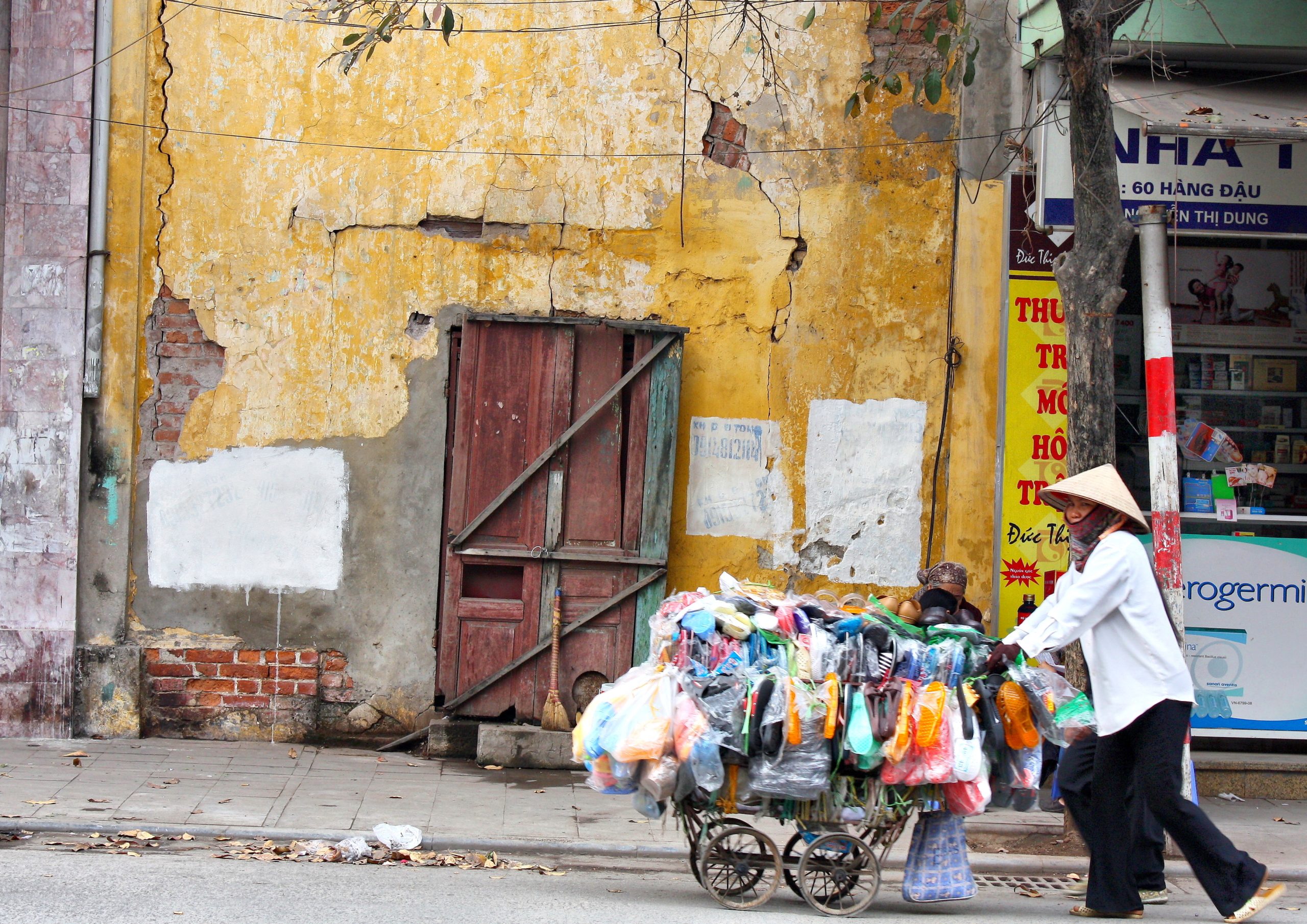 NGOs in Vietnam