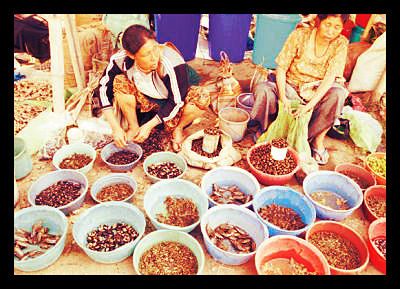 Nagaland Citizens Utilize Unusual Food Source