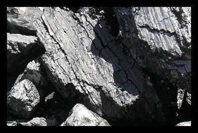 Need_Some_Green_House_Gases_Coal