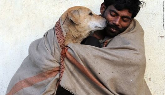 India’s_Stray_Dogs