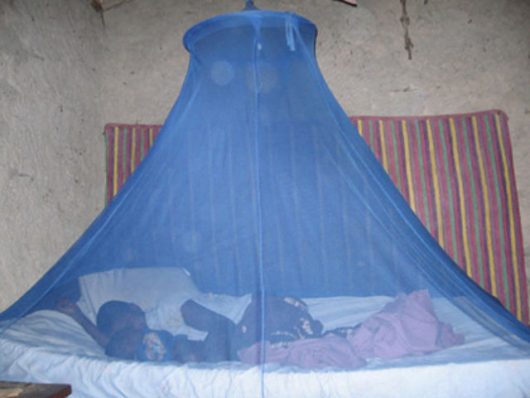 New Mosquito Nets