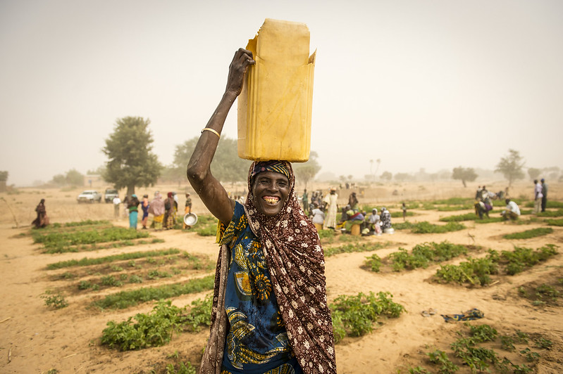 Life Expectancy in Niger