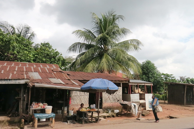 Economic Growth in Nigeria