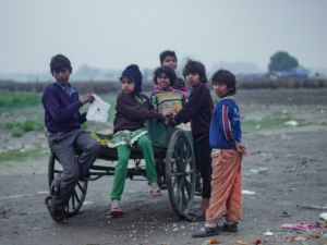Nutrition in Delhi