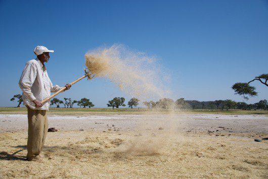Online Portal Connects Farmers and Grain Buyers- BORGEN