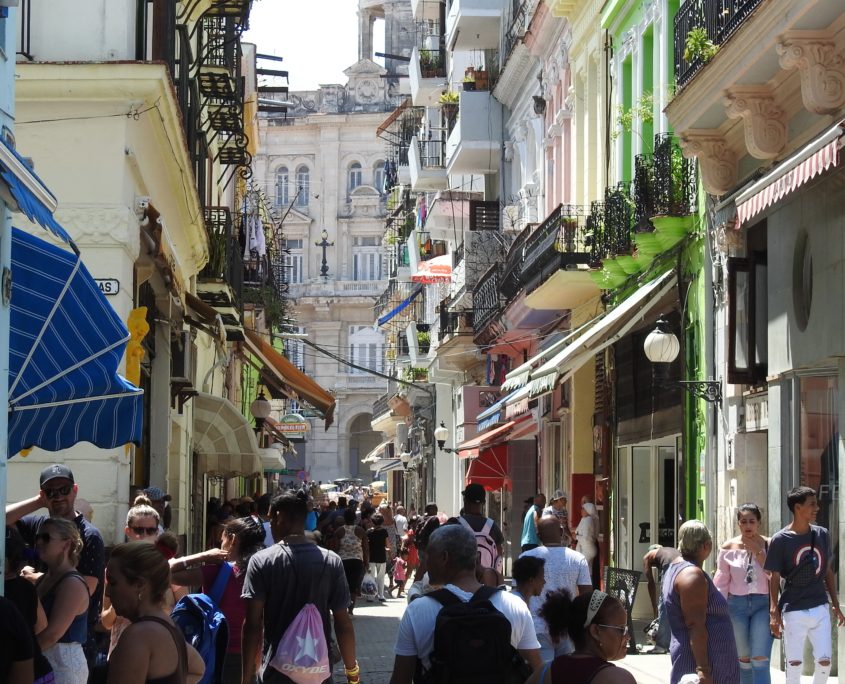 Cuba's Private Sector Cuba's Private Sector