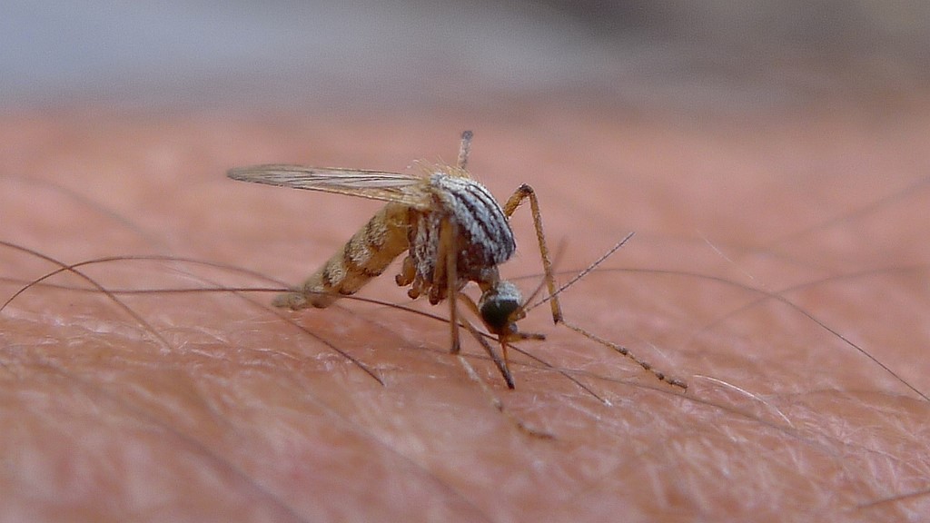 Our Health Reduces Mosquito-Borne Illnesses Our Health Reduces Mosquito-Borne Illnesses