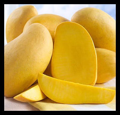 Pakistani_mango_USAID_opt