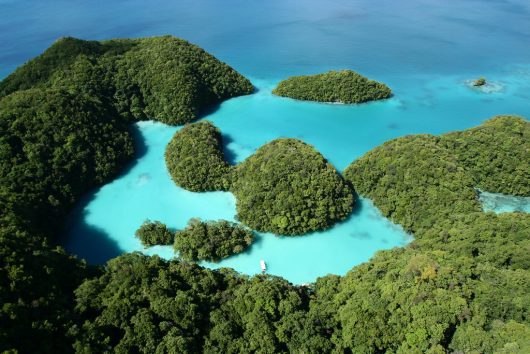 Palau Refugees