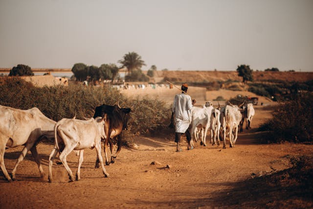 Pastoralism in the Sahel Region
