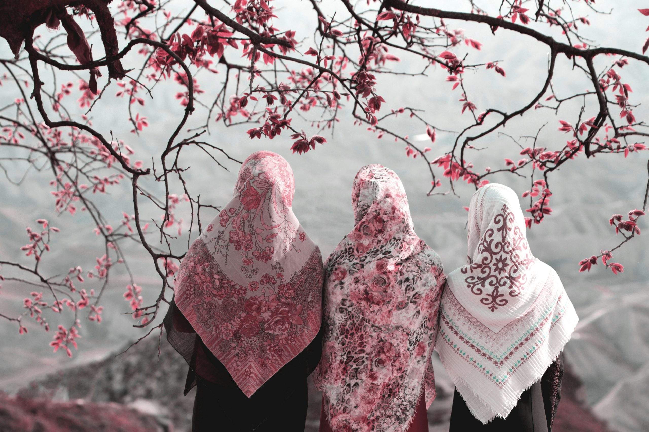 Period Poverty in the Middle East